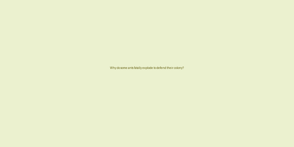 The Ultimate Sacrifice: Why Do Some Ants Fatally Explode to Defend ...